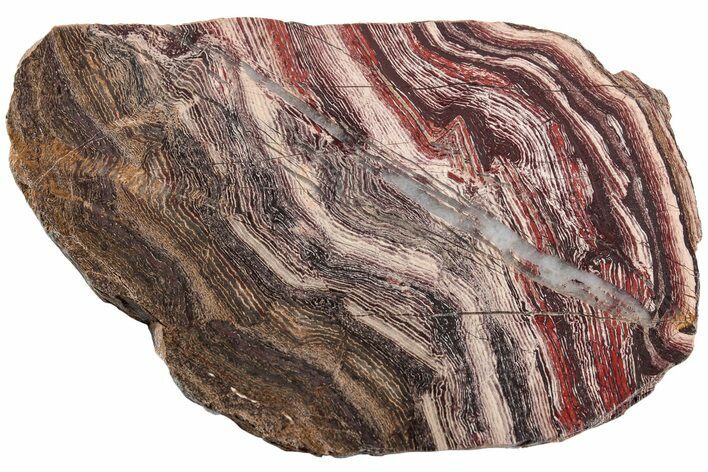 Polished Snakeskin Jasper Slab - Western Australia #221496